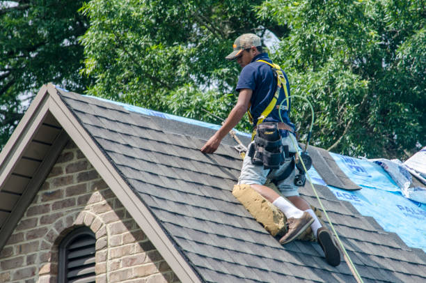 Best Roof Gutter Cleaning  in Reading, OH
